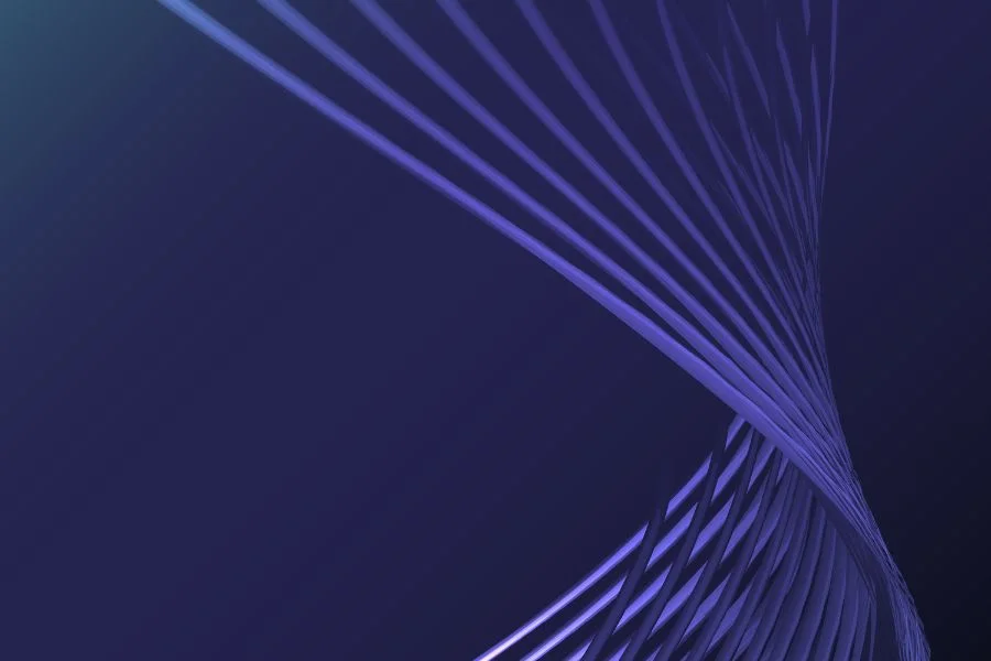 Audit and Network Surveys