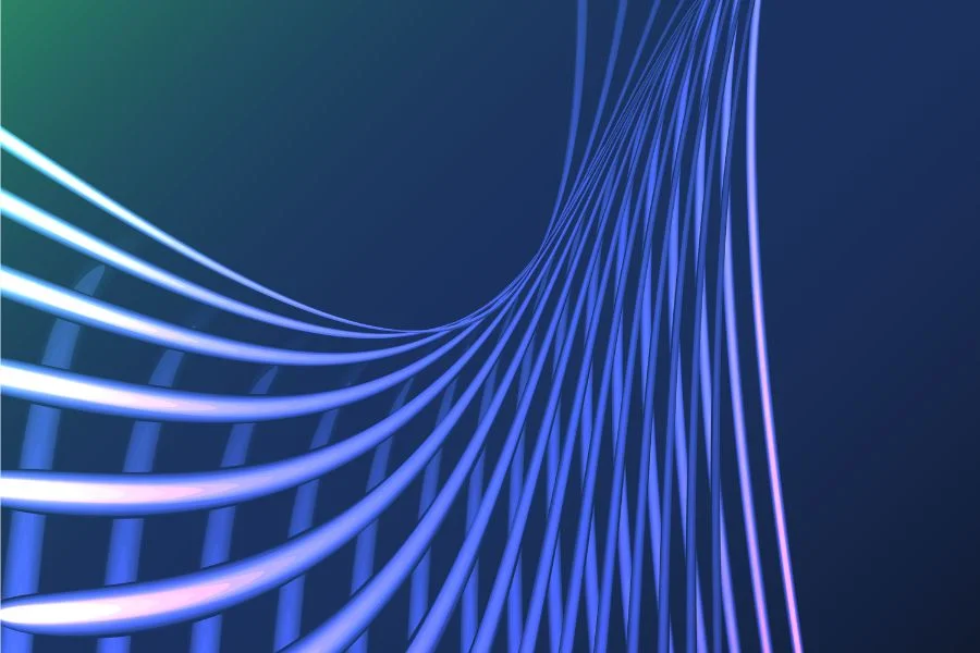 Enterprise Networks